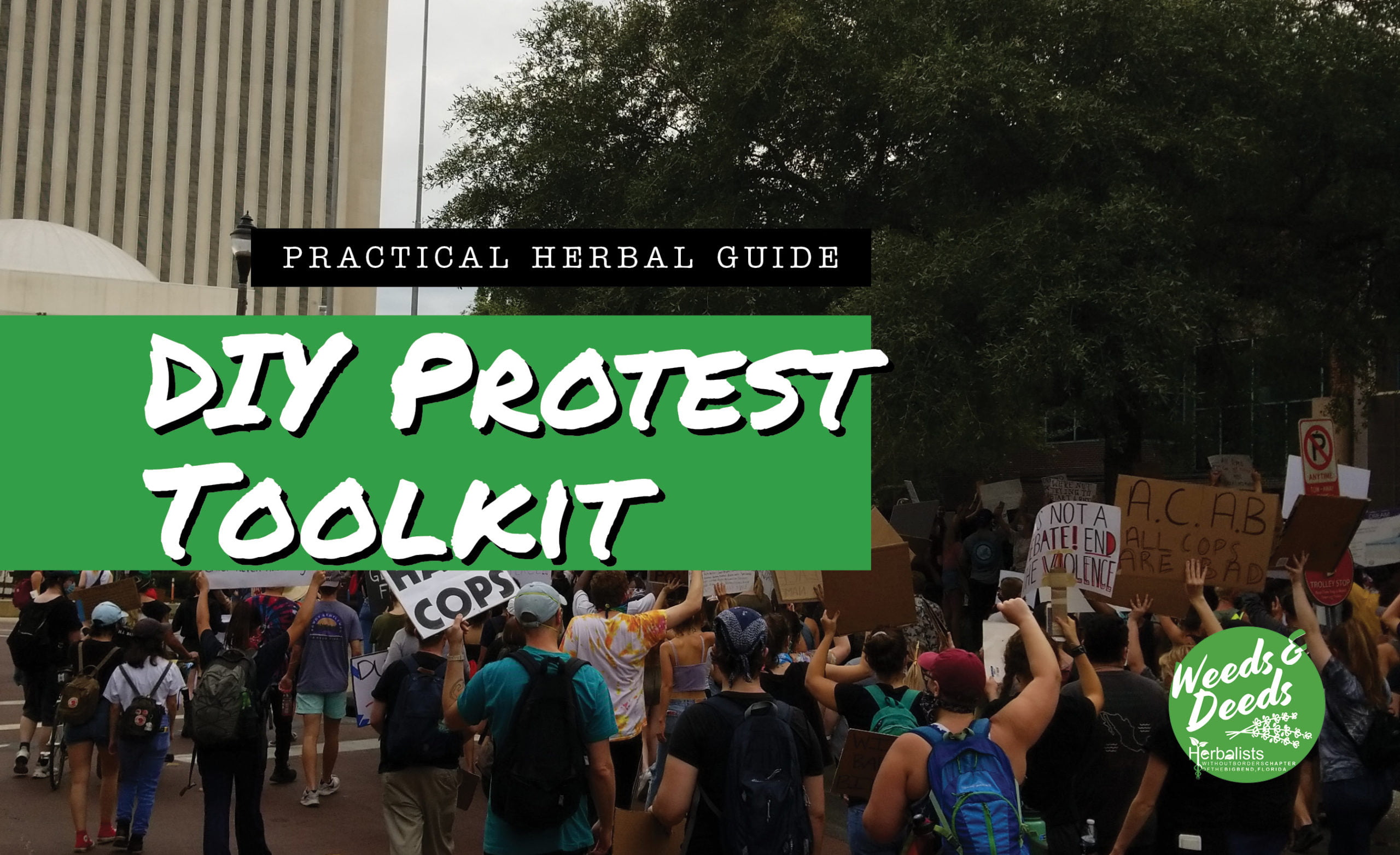 DIY Protest Toolkit Herbal Guide Weeds and Deeds