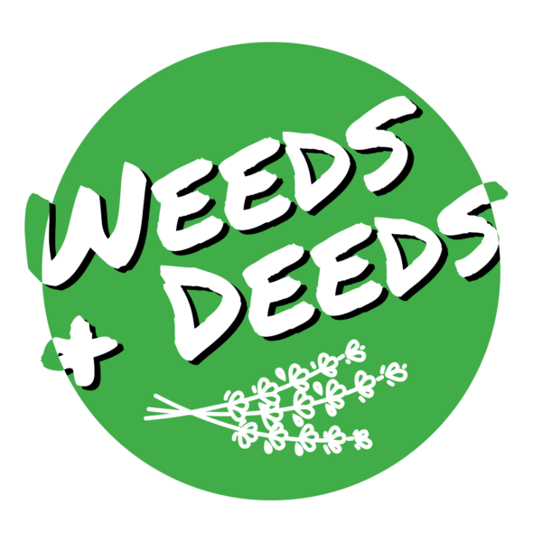 Weeds and Deeds - Social justice focused herbalism in Tallahassee ...