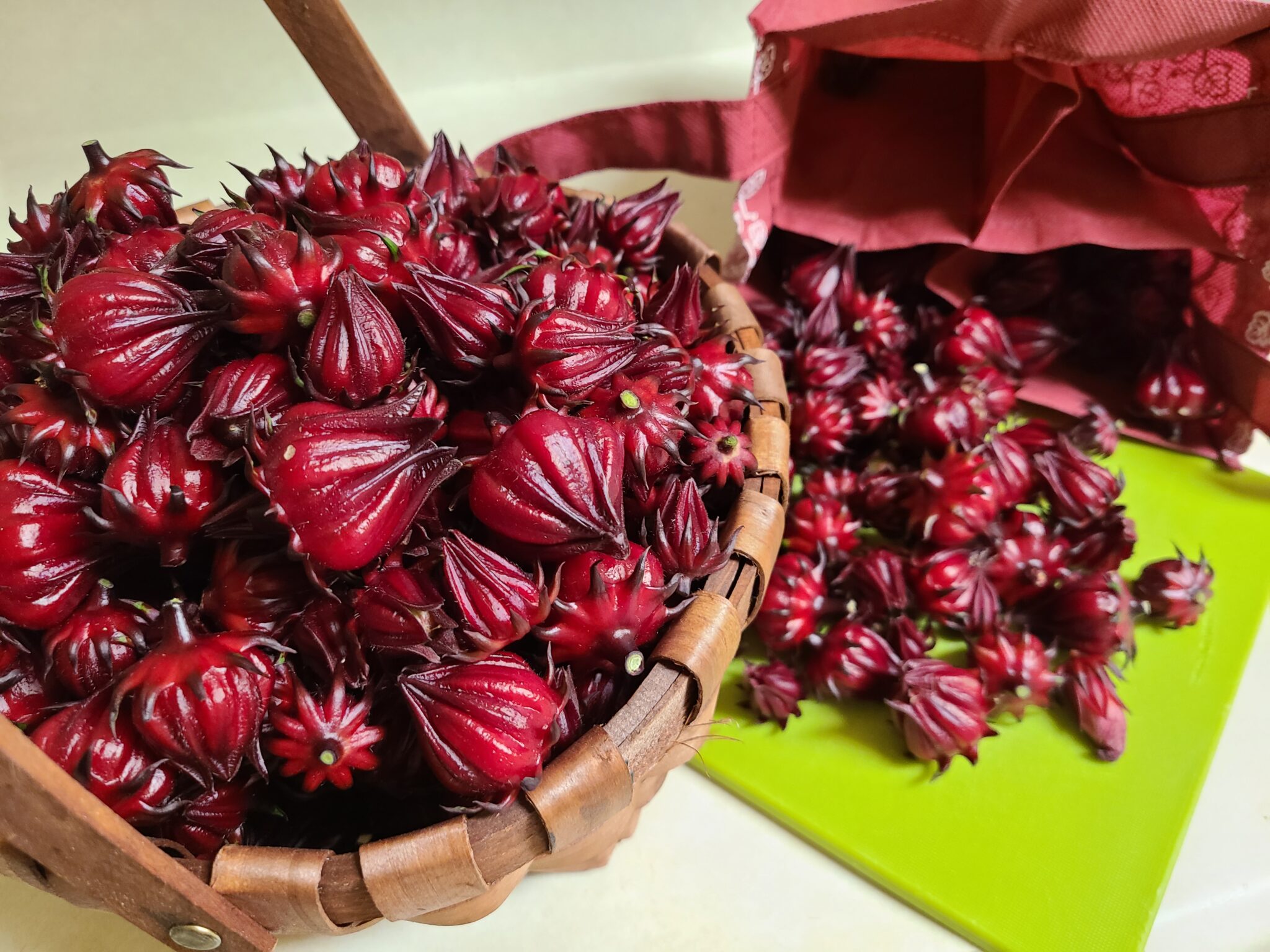 Hibiscus Herb Plant Profile Weeds and Deeds